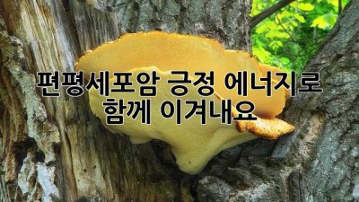 편평세포암, 긍정 에너지로 함께 이겨내요! 💪💖