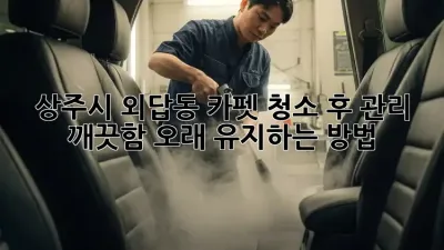 상주시 외답동 카펫 청소 후 관리: 깨끗함 오래 유지하는 방법