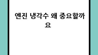 🚗 엔진 건강 지킴이! 자가 점검으로 안전 운전 💨